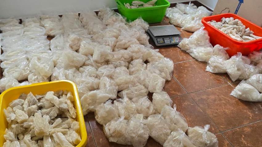 Golpe a las metanfetaminas: 800 kilos decomisados en Michoacán