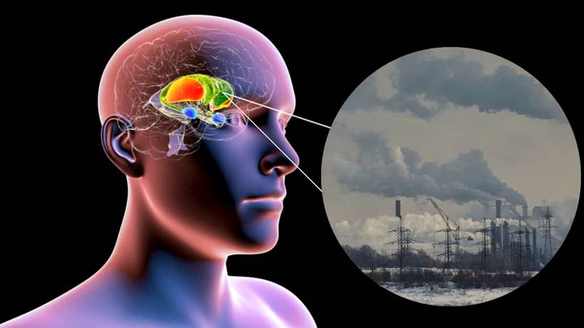 Registran cambios cerebrales en niños expuestos a ciertos grados de contaminación atmosférica