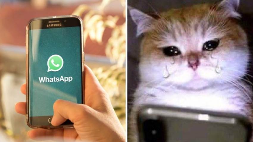 WhatsApp limitó el uso de stickers animados: no es un error en tu teléfono
